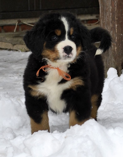 7 weeks 8