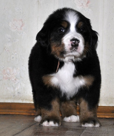 5 weeks 7