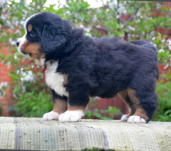 5 weeks 7