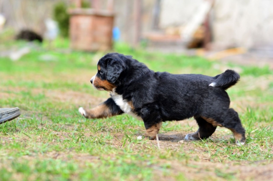 5 weeks 1