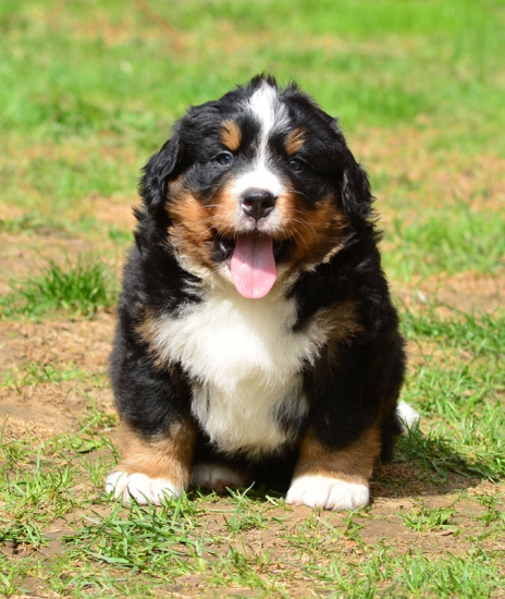 6 weeks 10
