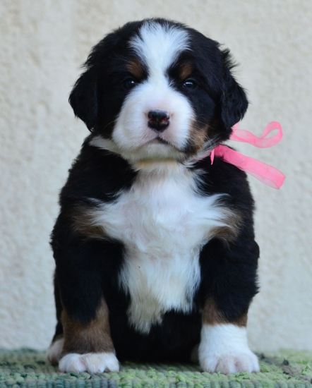 4 weeks