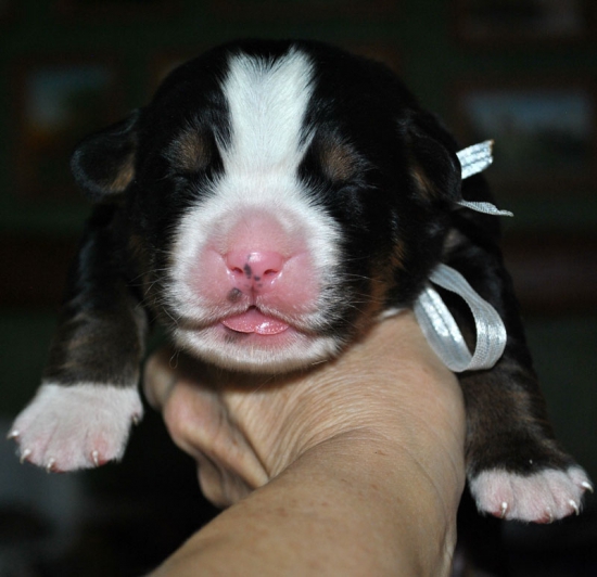 m white 1 week
