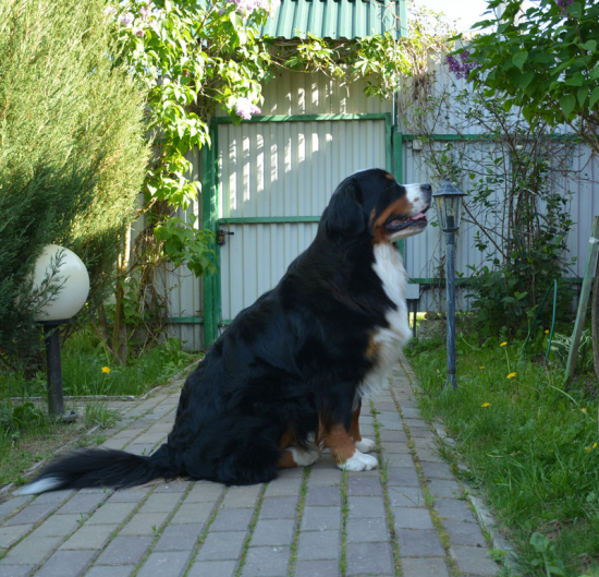 2 years 5