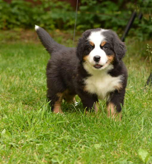 7 weeks 1