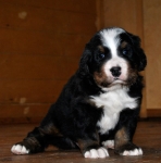 4weeks 1