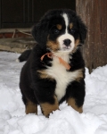7 weeks 7