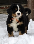 7 weeks 8