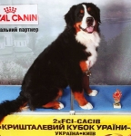 cacib kiev