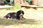 5 weeks 7