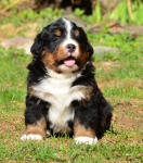 5 weeks 5 