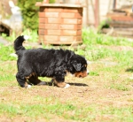 5 weeks 8