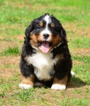 6 weeks 10