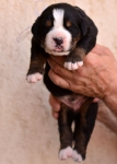 m white 2 weeks