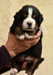 m white 3 weeks