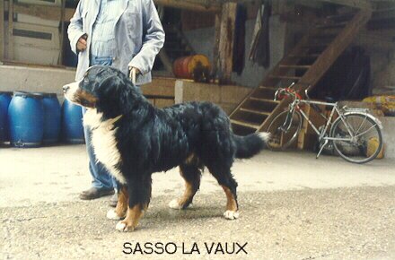 Sasso la Vaux