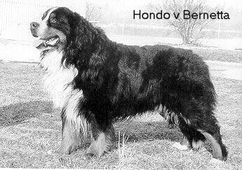 Hondo v Bernetta