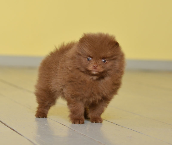 7 weeks 3