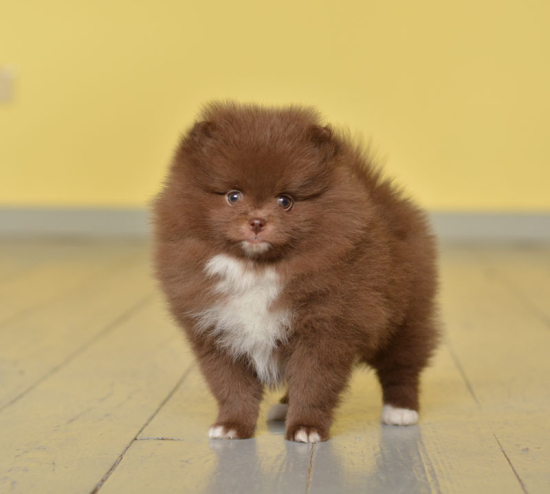 7 weeks 1