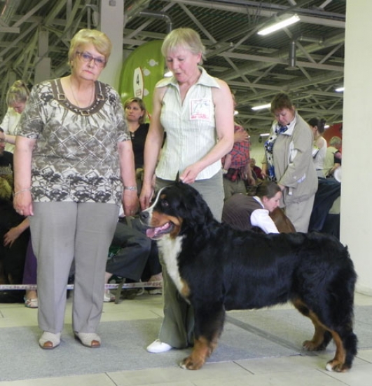 cacib 23 06 2012