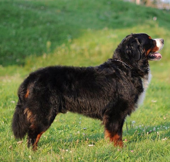 indevor 2years