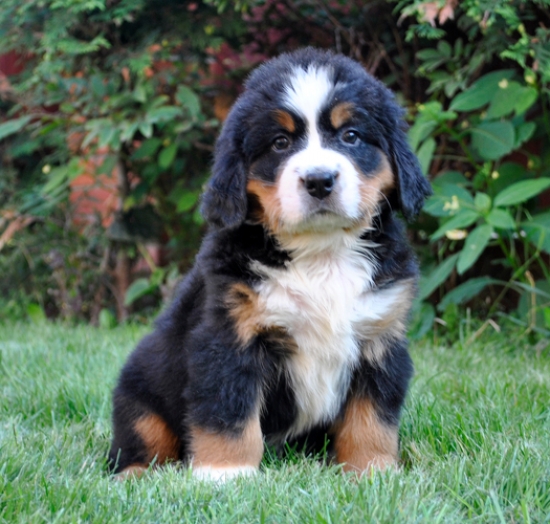 6weeks