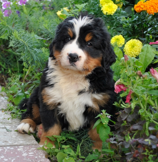 6weeks
