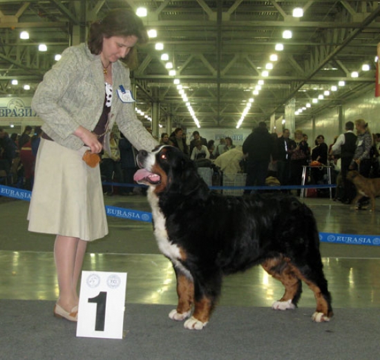 cacib evrasia 2009