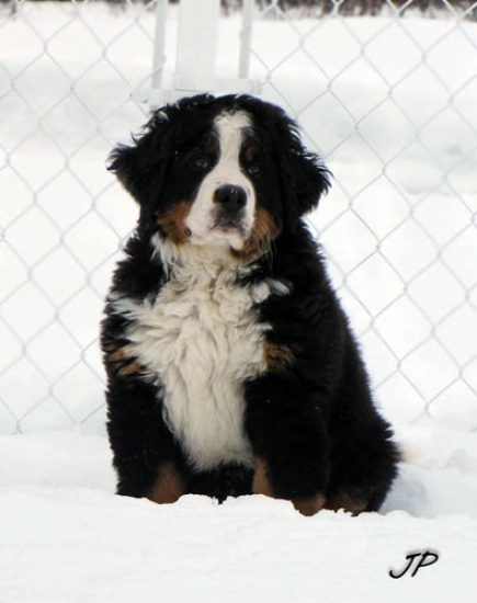 10 weeks