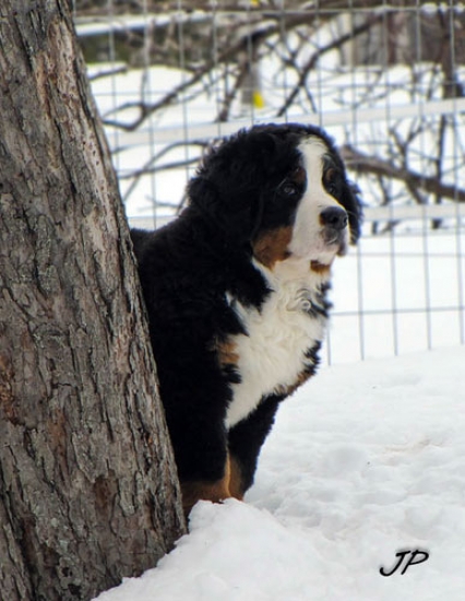 10 weeks 1