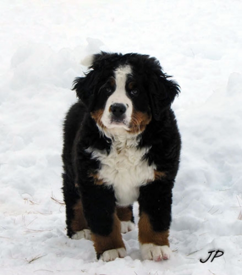 10 weeks 3