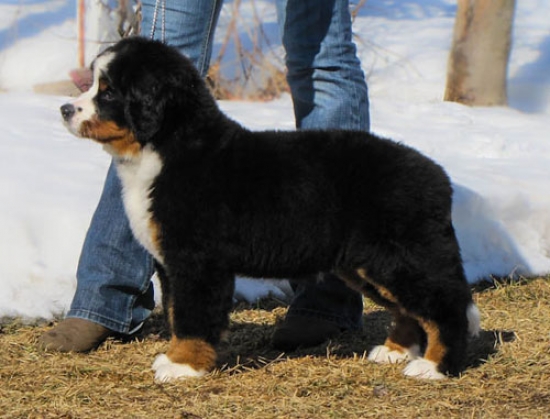 12 weeks 1