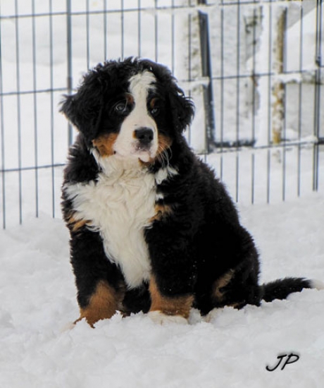 9 weeks