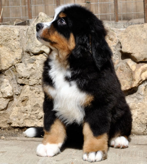 10 weeks 5