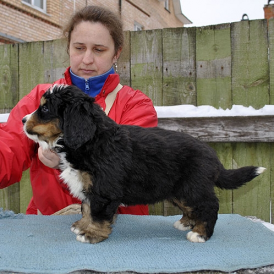 m yellow green 6weeks 4