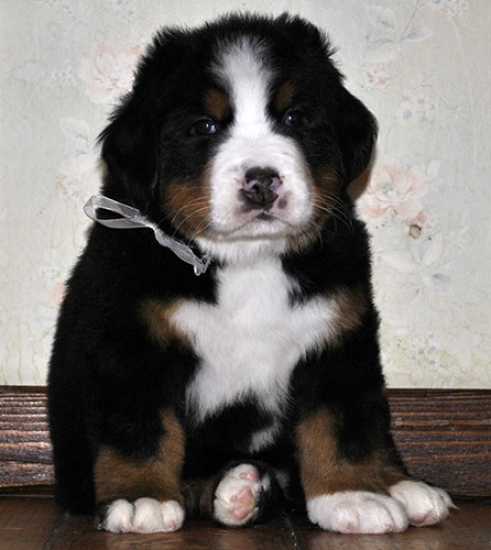 5 weeks 9