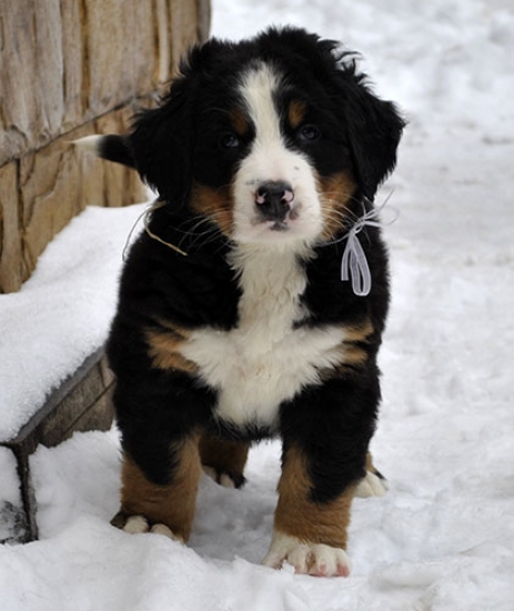 7 weeks 10