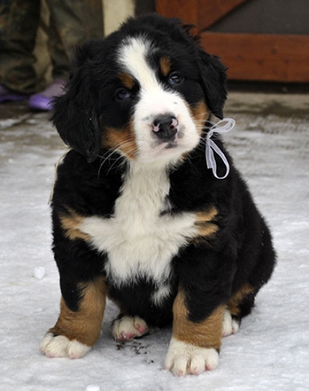 7 weeks 8