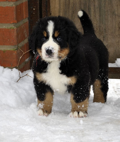 7 weeks 5