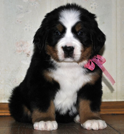 5 weeks 9