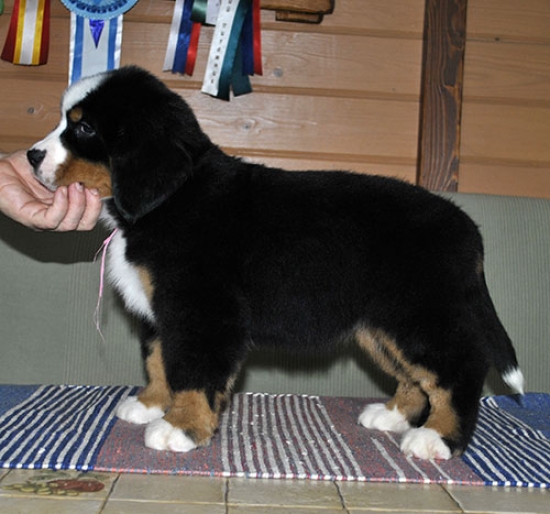 8 weeks 3
