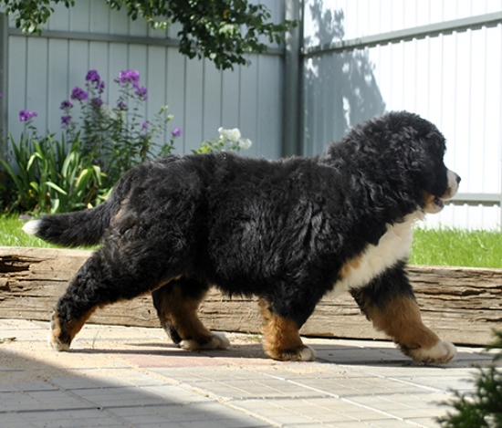 10 weeks 10