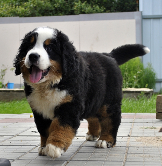 10 weeks 12