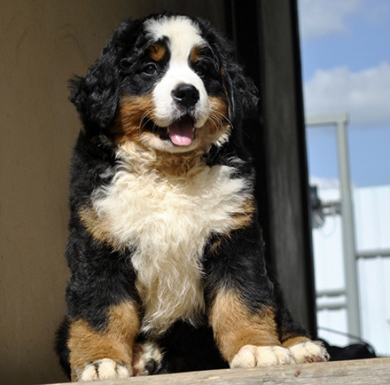 10 weeks 4