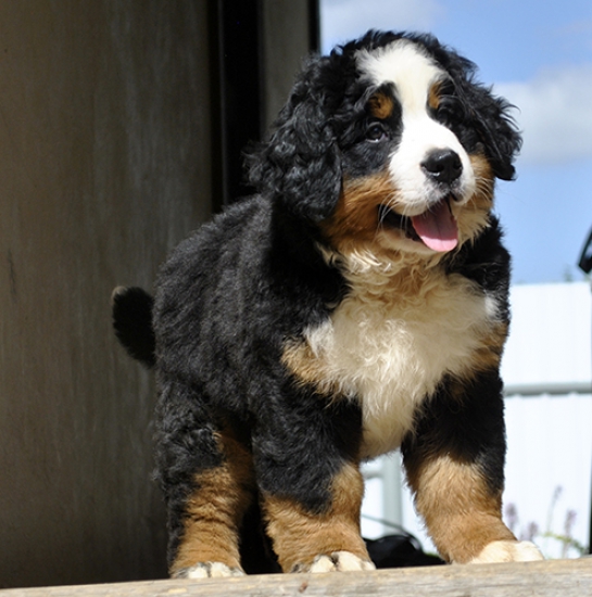 10 weeks 8