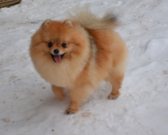 10 m 9