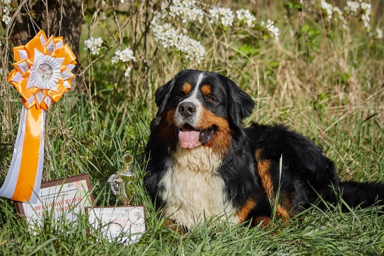 bob 2years 1