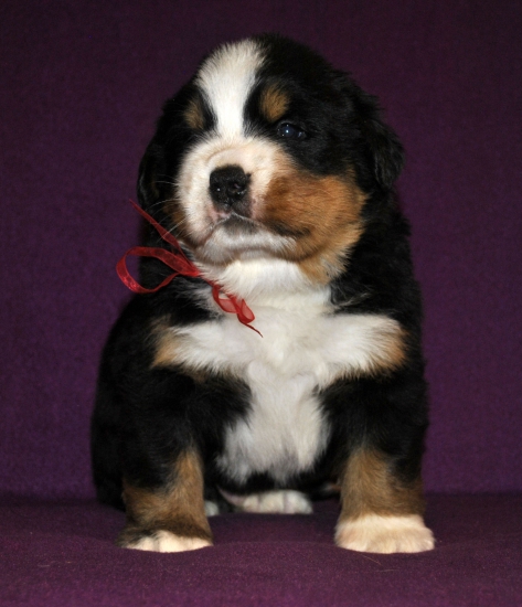 m red 4 weeks 3