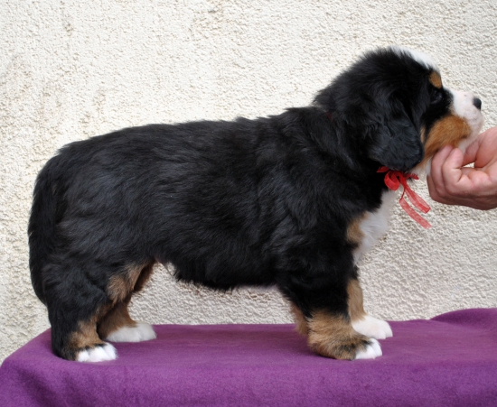 m red 5 weeks