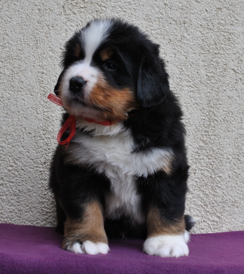 m red 5 weeks 7